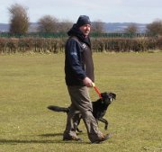 Premium Dog Walking